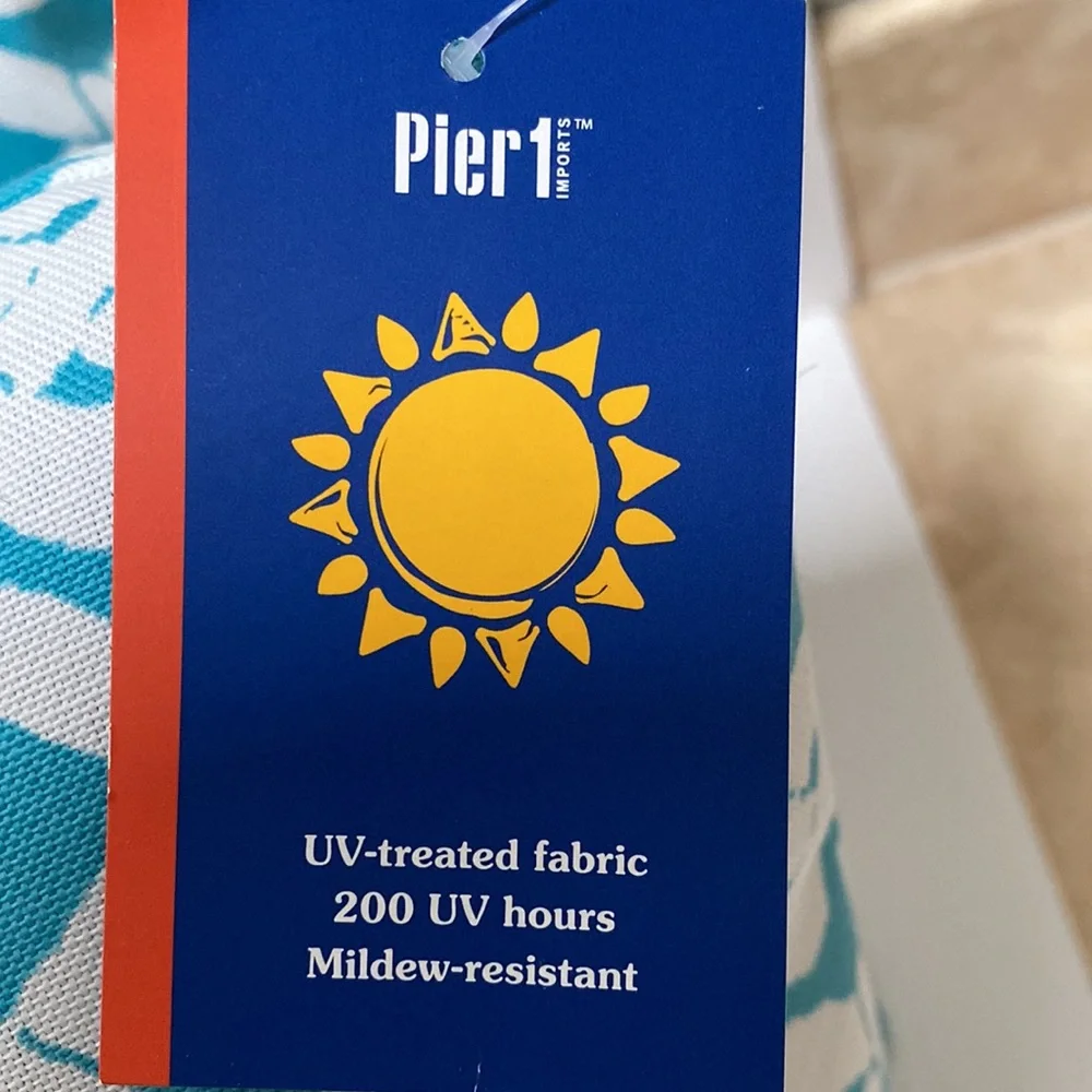 Pier one import pillows (2) . 15 by 15 . - Picture 2 of 3